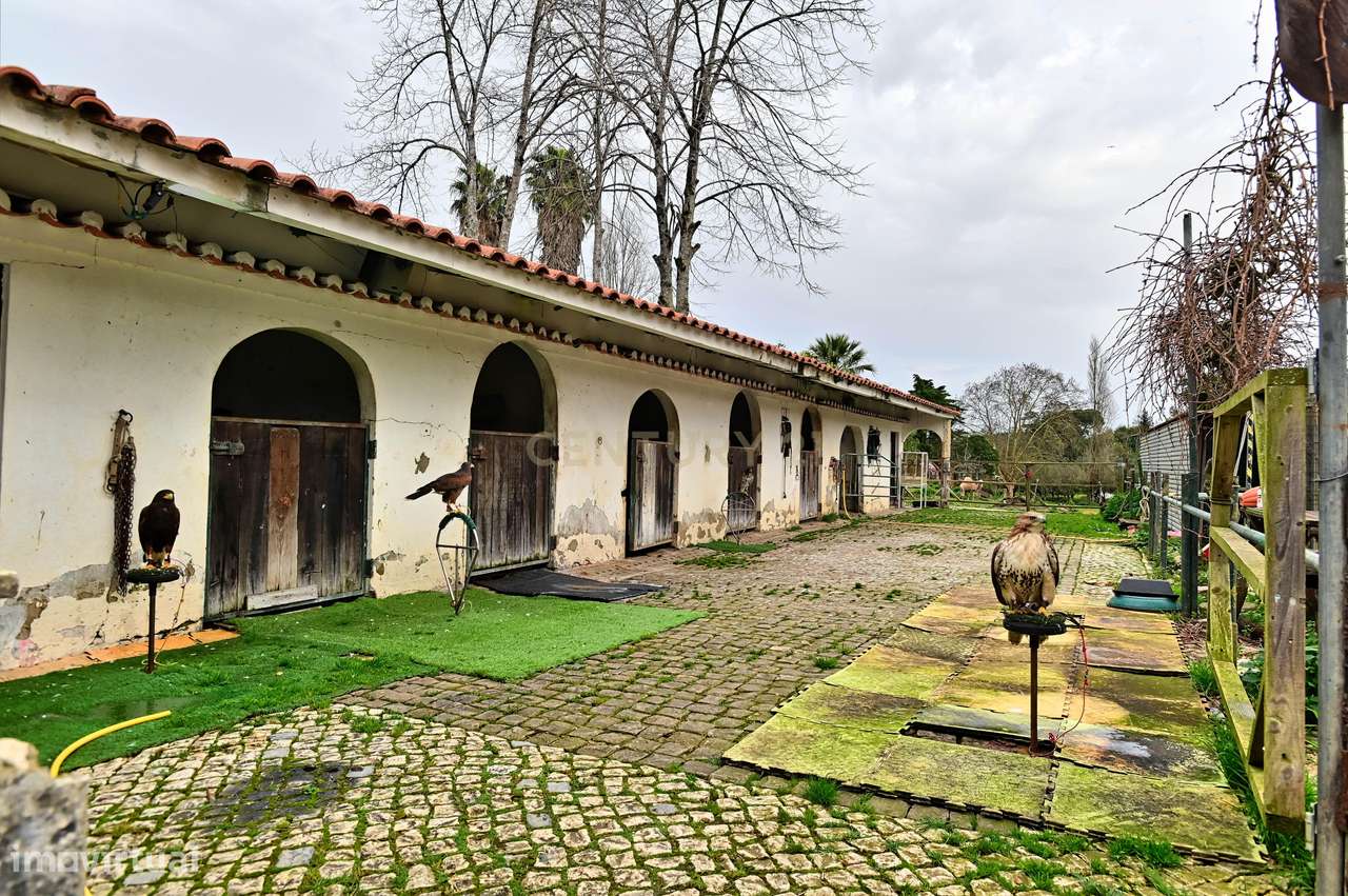 Quinta situada em Sintra, com um generoso terreno de 98.200 m². Locali - Grande imagem: 4/22