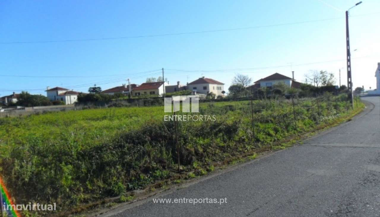 Terreno - Areosa - Grande imagem: 3/30