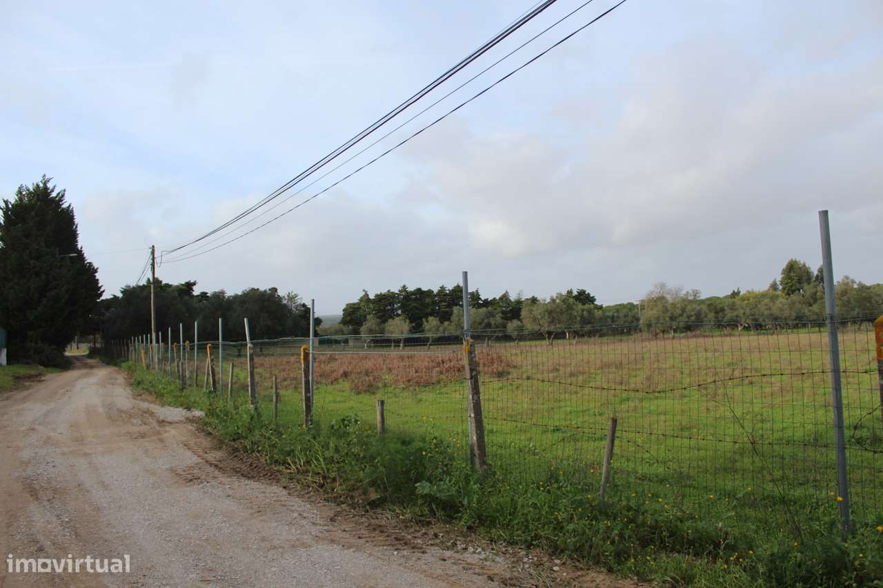 Moradia T2 com Jardim no Campo-5