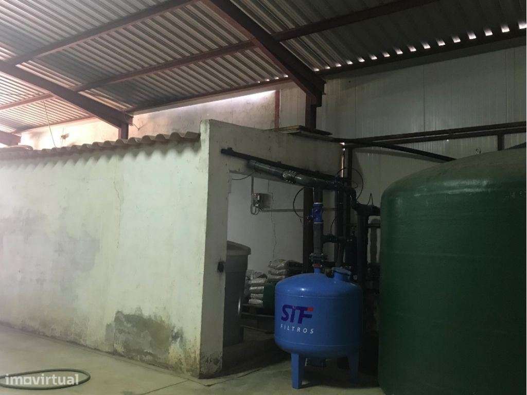 Estremoz Évora herdade 5ha projeto aprovado hotel Rural 4*e nogueir...-20