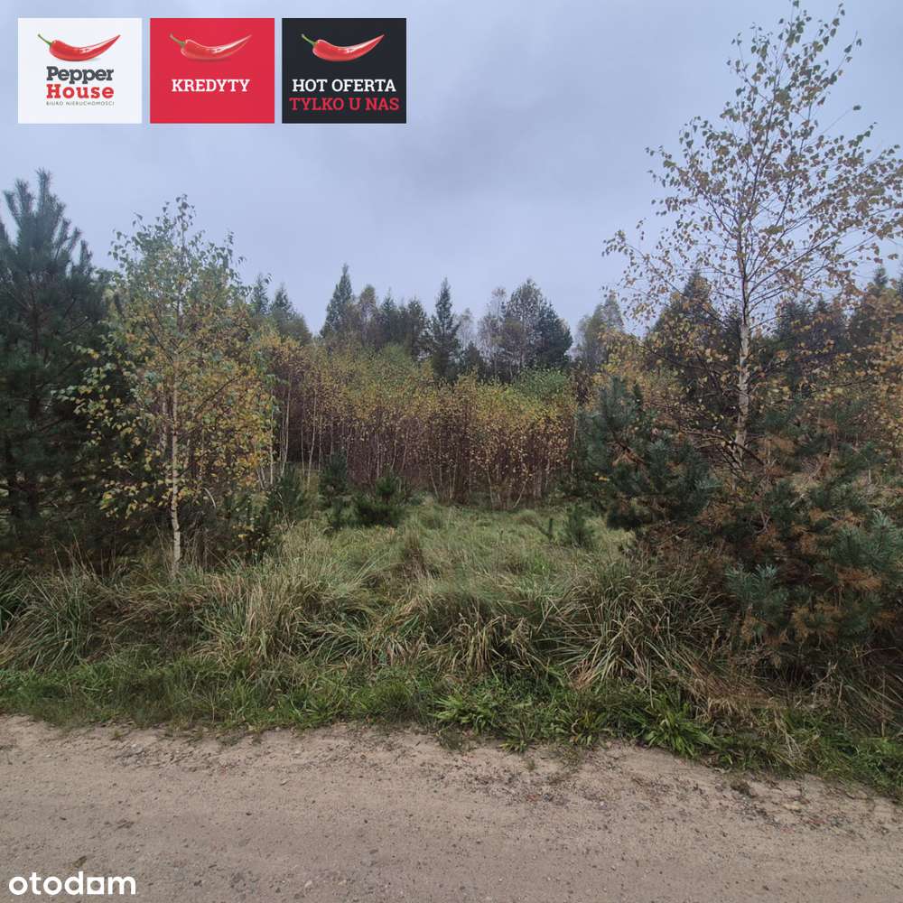 Działka z lasem "za plecami" i jeziorem w pobliżu! - Pełny obrazek: 4/4