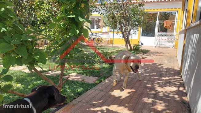 Moradia Térrea V2 Remodelada com Anexos e Jardim em Pinhal Novo-27