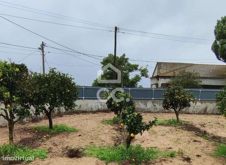 Terreno para construção com 7.415 m² em Cabanas, Quinta do Anjo, Palme-7