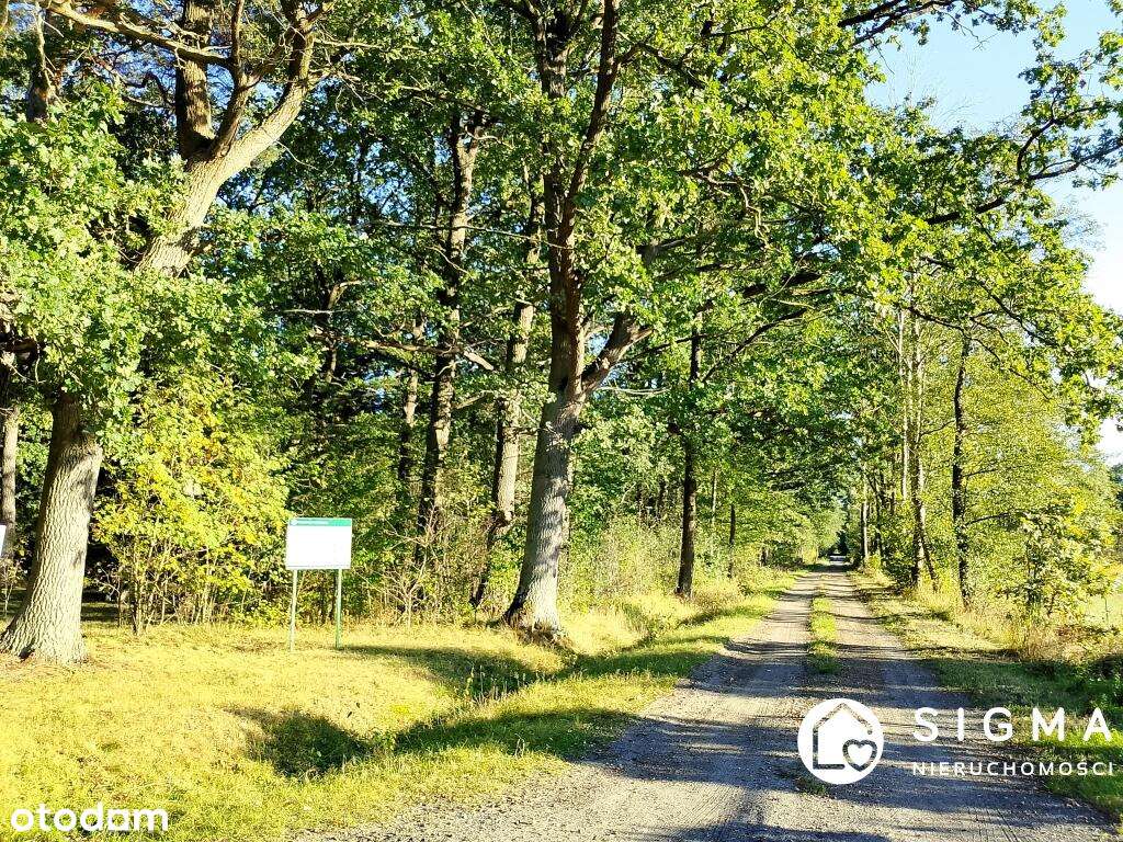 Działka przy lesie I MPZP I 50 km od Warszawy-0