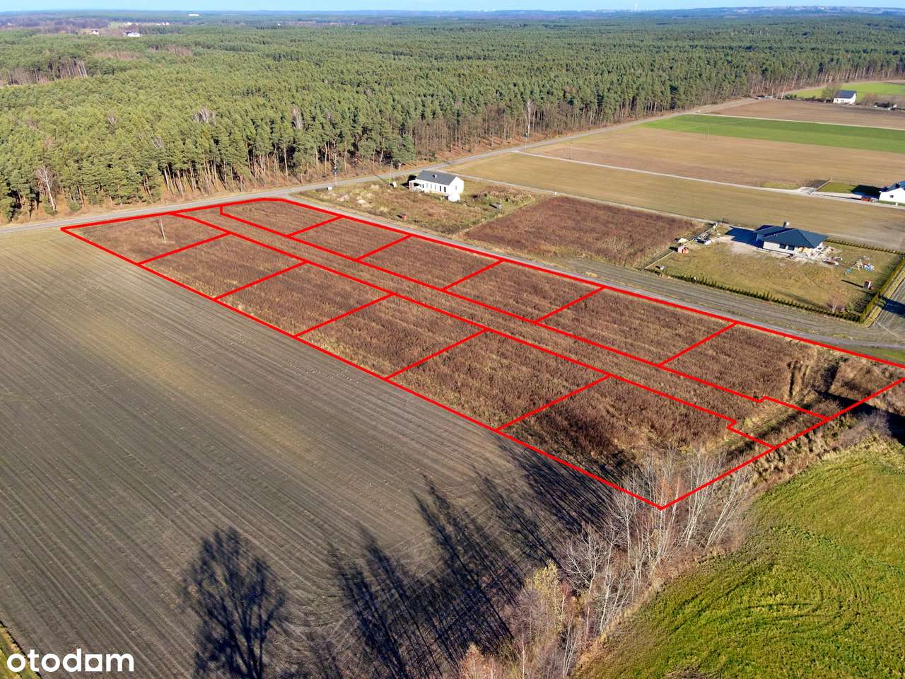 Działki budowlane Kuźnica, gm. Ceków-Kolonia - Pełny obrazek: 4/10