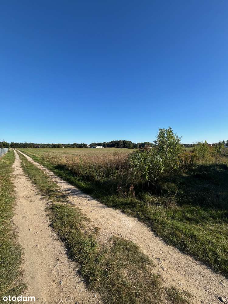 Działka budowlana 2980 m² w cichej okolicy - Pełny obrazek: 4/11