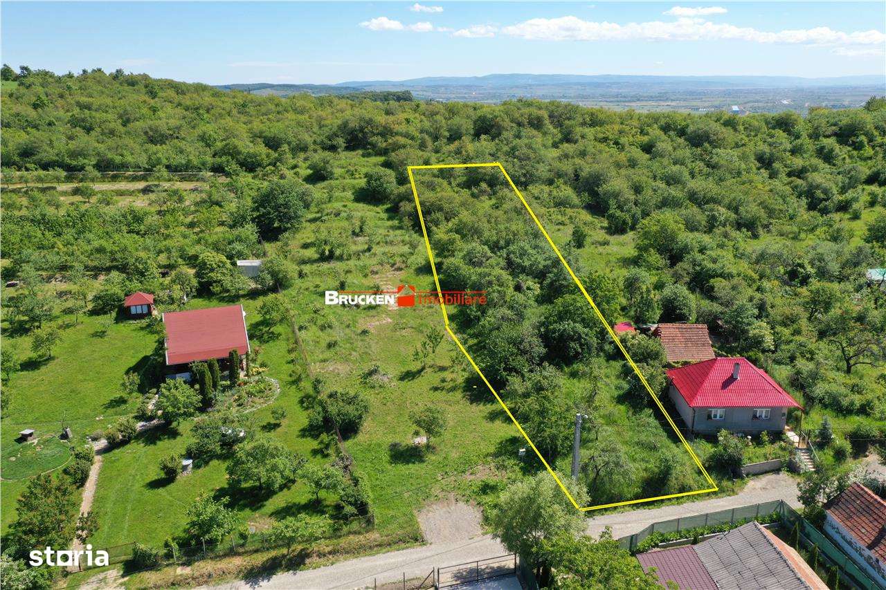 TEREN PENTRU CONSTRUCTIE REZIDENTIALA | 2878 MP | PODGORIA - Imagine principală: 2/5