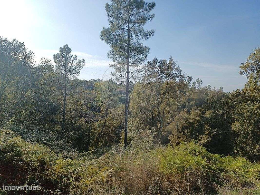 Terreno  para venda - Grande imagem: 4/9