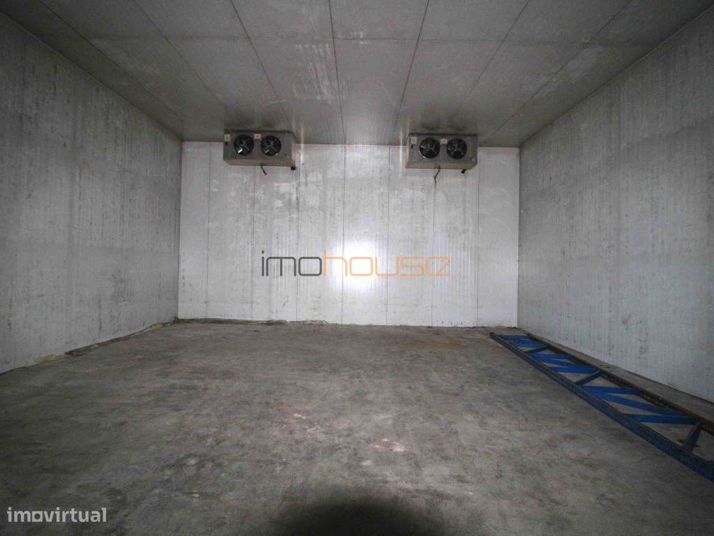 Armazém com logradouro e parque de estacionamento - Grande imagem: 4/9