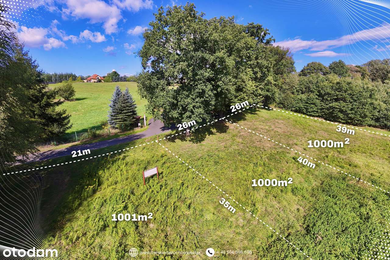 1000m2 przestrzeni w Leśnej, które przywrócą radość życia.-9