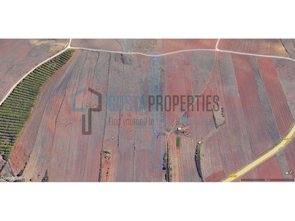 Terreno Rústico de 3.400m² com Potencial Agrícola na Raposeira - Grande imagem: 3/21