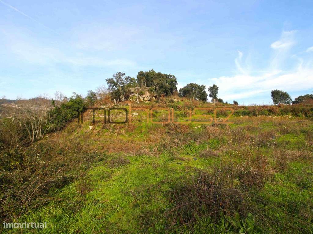 Quinta de 5.6 ha - Varias edificações, ribeiro e vista Douro-25