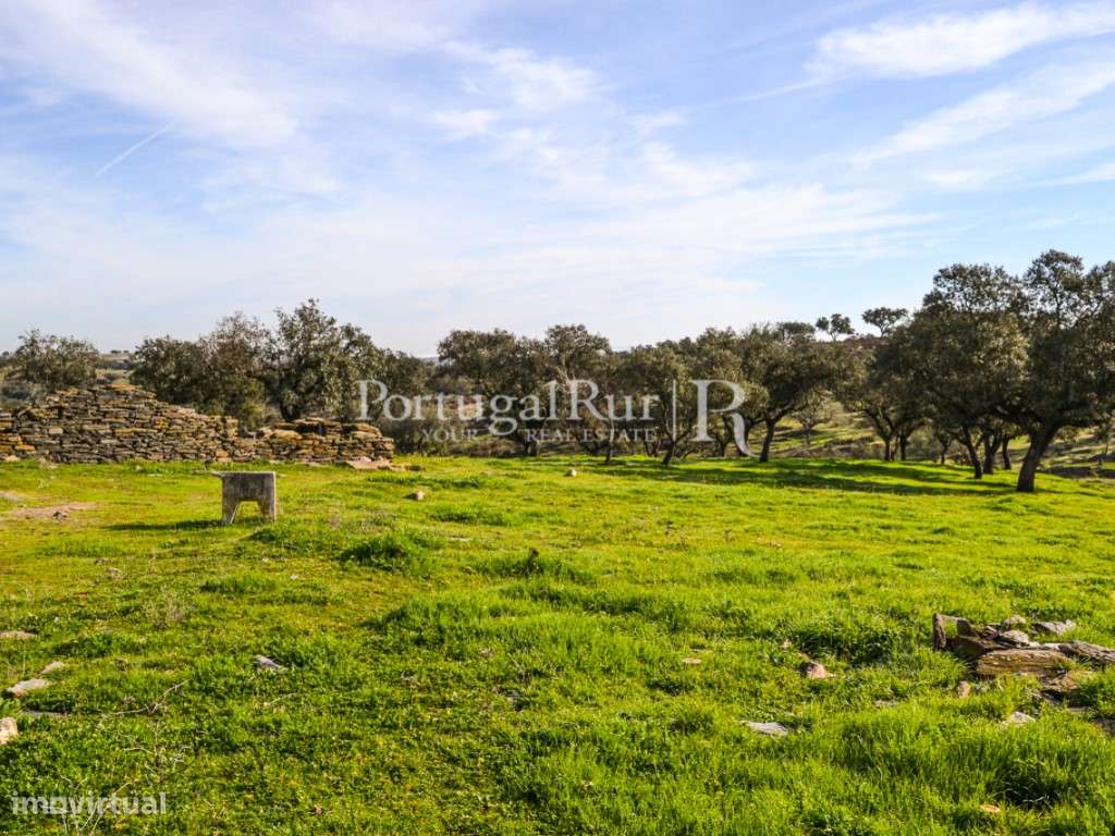 Herdade de 60 ha e monte, em Reguengos de Monsaraz-16