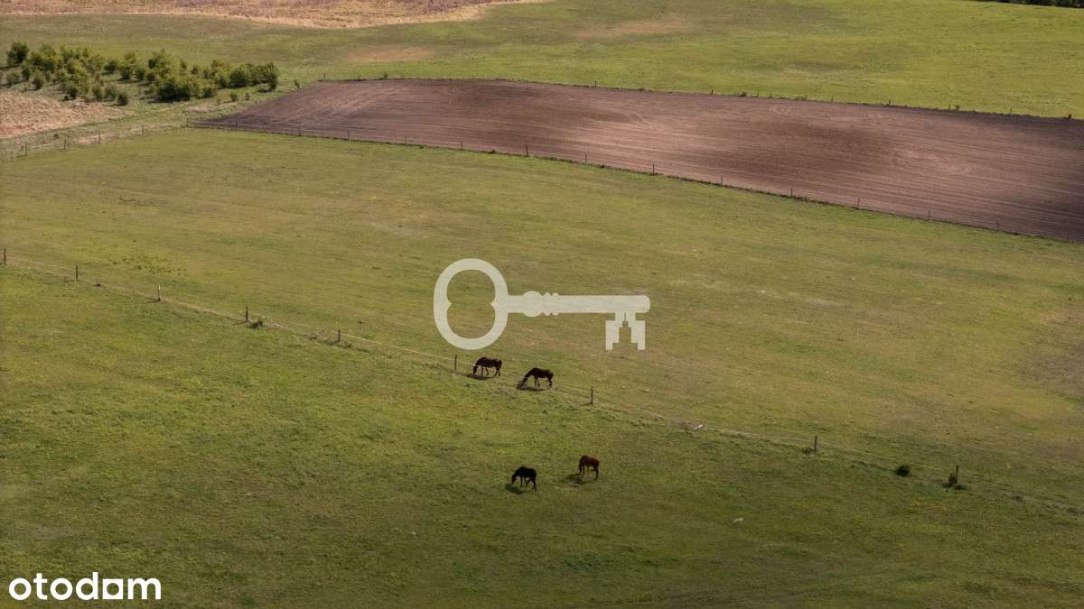 Wyjątkowa nieruchomość | Upałty - Pełny obrazek: 5/14