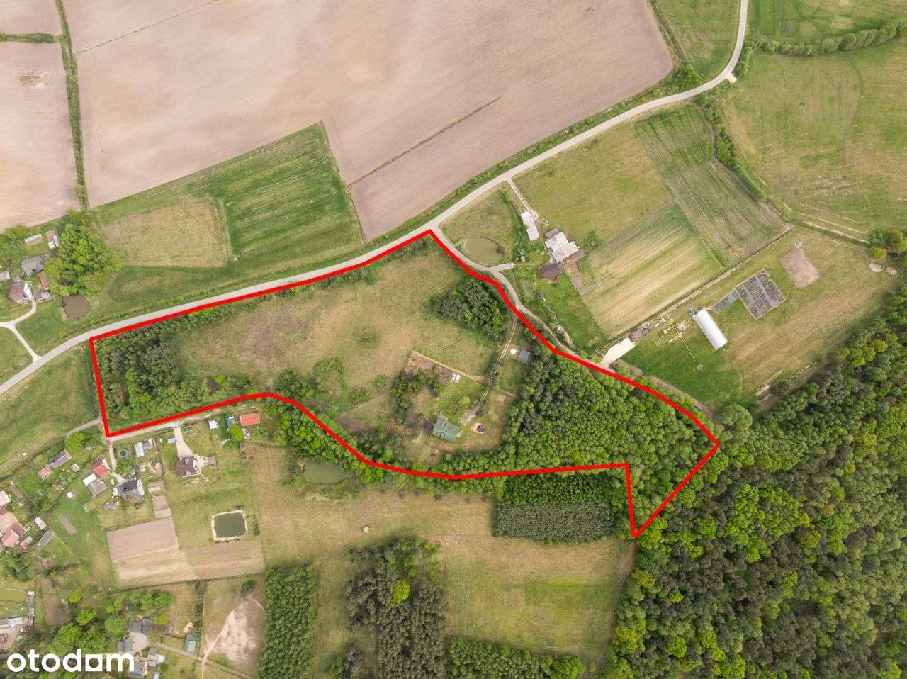 Stajnia z częścią mieszkalną 4,5 ha Własny las-3