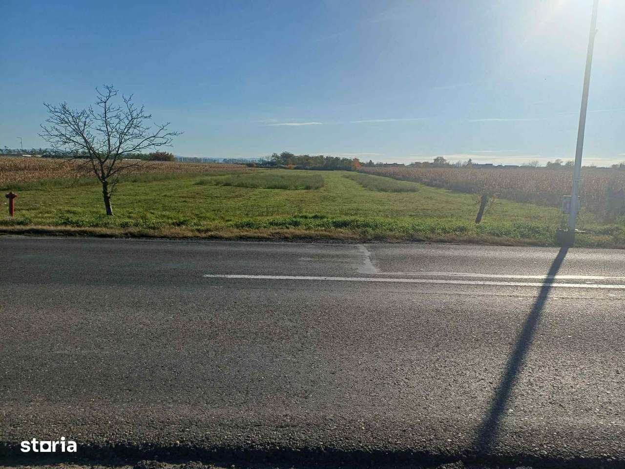 Teren intravilan / industrial 80 ari , Odoreu-0