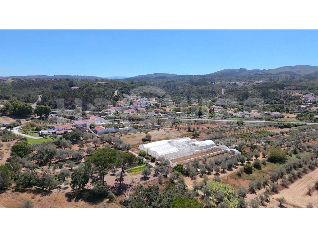 Terreno Agrícola com Estufas Preparadas para Produção em Hidroponia...-17