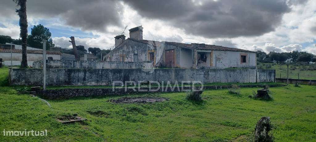 Pequena Quinta em zona muito calma e tranquila. - Grande imagem: 4/19