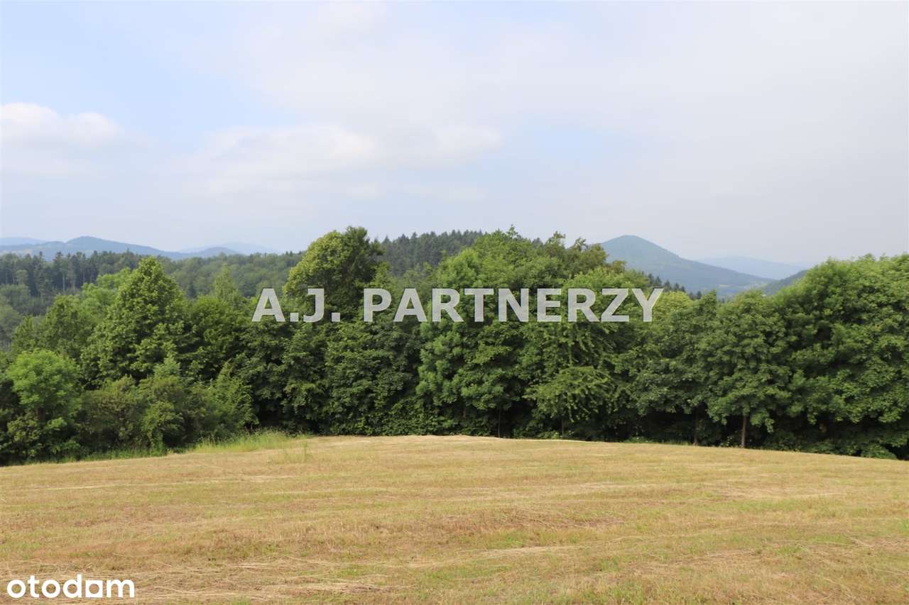 Działka w otoczeniu lasu z widokiem na góry-9