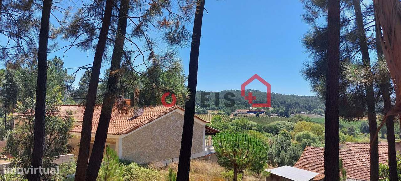 Terreno para construção com catorze mil metros quadrados ! - Grande imagem: 5/7