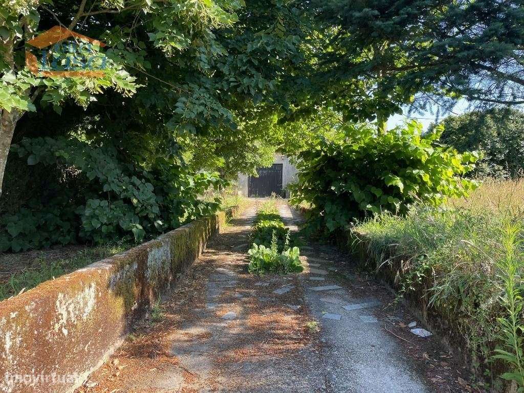 Prédio misto com moradia de 330m2 e terreno com 35000m2 em Mangualde - Grande imagem: 3/14