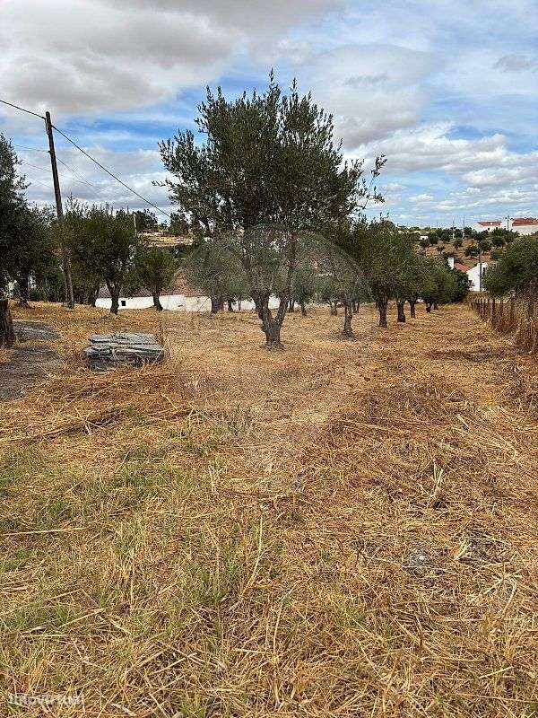 Moradia T1 para venda - Grande imagem: 3/9