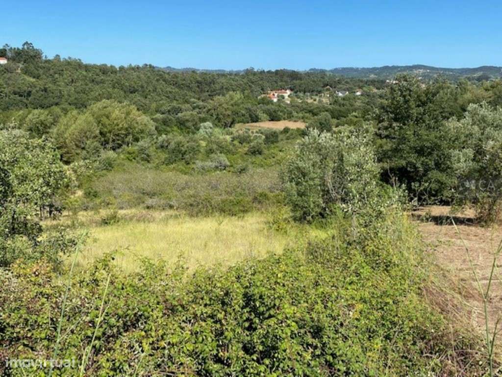 Terreno - Grande imagem: 3/6