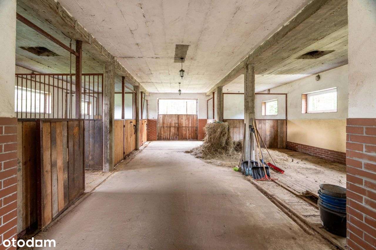 Stajnia z częścią mieszkalną 4,5 ha Własny las-18