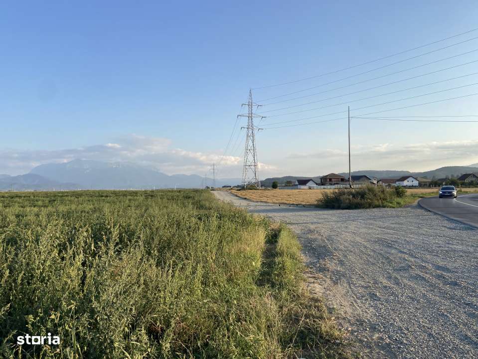 Teren extravilan de vanzare -5750 mp- deschidere la DJ 112B- Intrarea - Imagine principală: 3/3