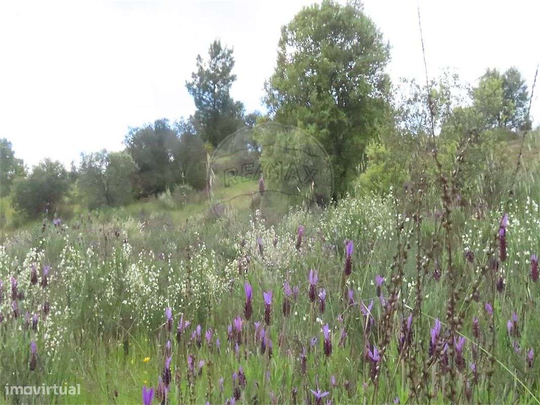 Quinta  para venda - Grande imagem: 3/47