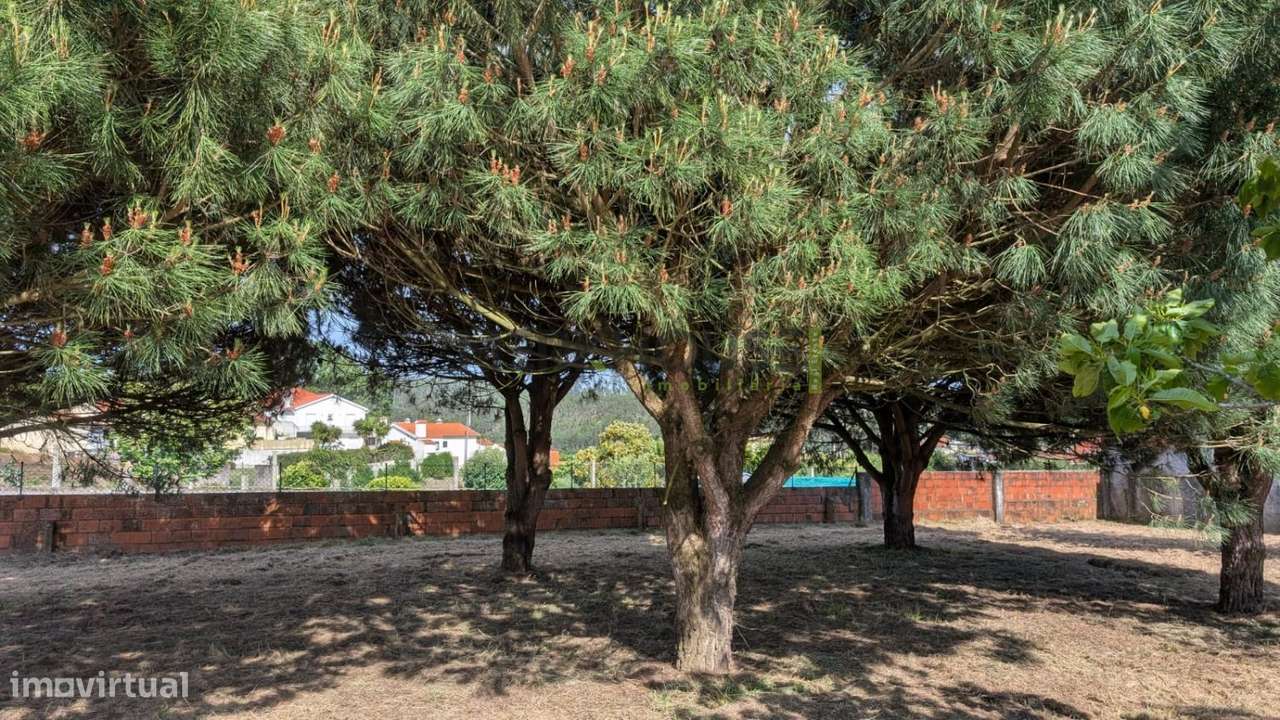 Terreno para construção - Salreu - Grande imagem: 3/4