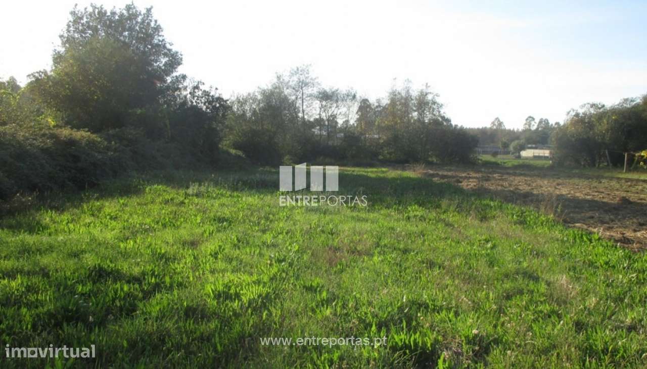 Venda de terreno agrícola, Barroselas, Viana do Castelo - Grande imagem: 2/4