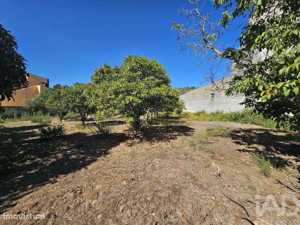 Terreno em Palmela de 1590,00 m2 - Grande imagem: 3/5