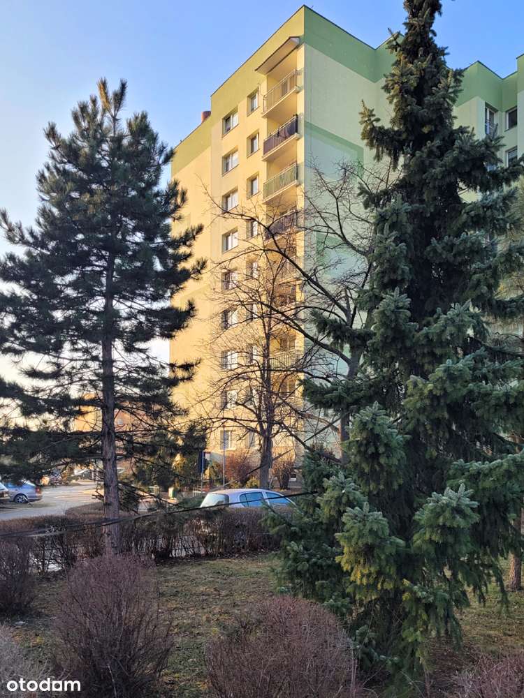Duże 3 pokoje, panorama z balkonu, piwnica i parking - Nowy Dwór-18