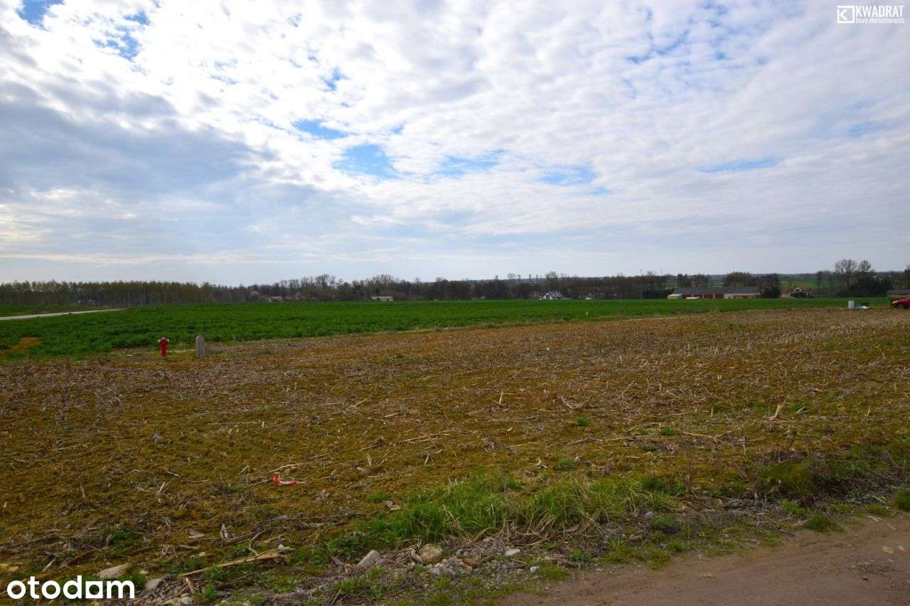 Skrzynice Drugie/ działka budowlana/ 11 ar - Pełny obrazek: 4/6