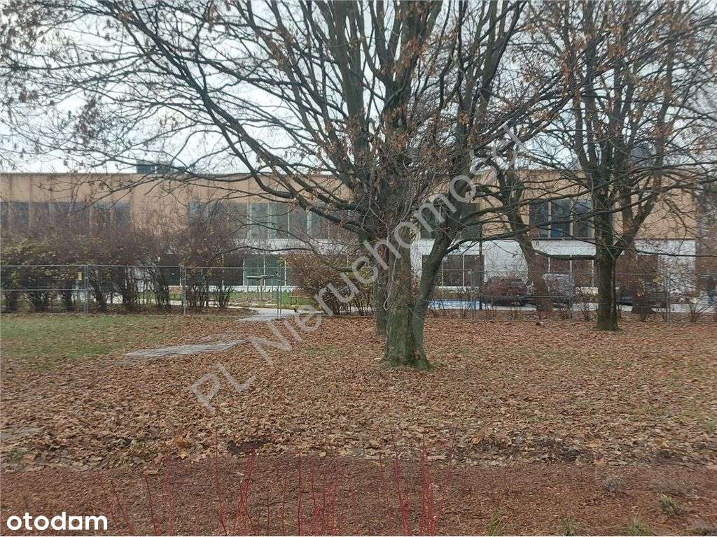 Chwyć za pędzel i stwórz mieszkanie swoich marzeń!-17