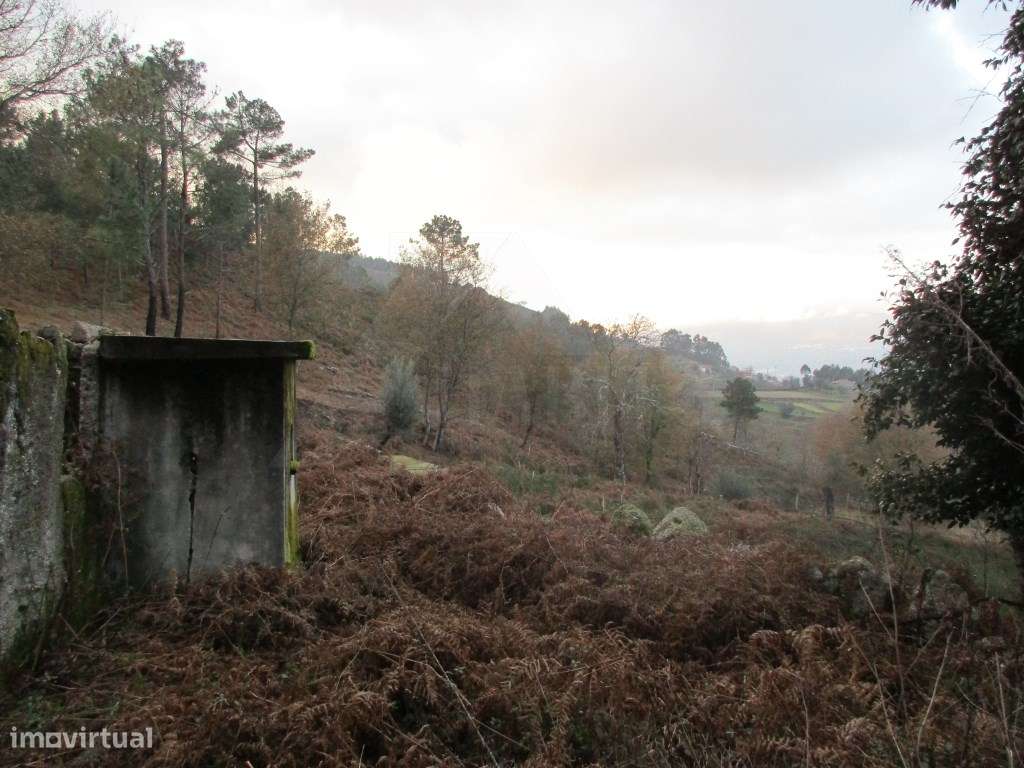 Terreno em Gondufe - Grande imagem: 3/8