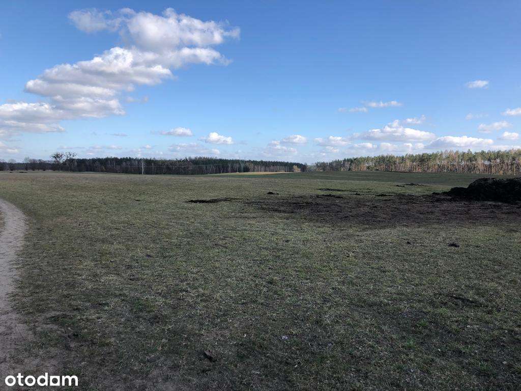 Działki z możliwością zabudowy, blisko Goleniowa - Pełny obrazek: 3/4