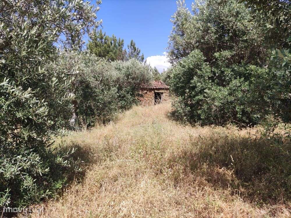 Quintinha - Grande imagem: 2/27