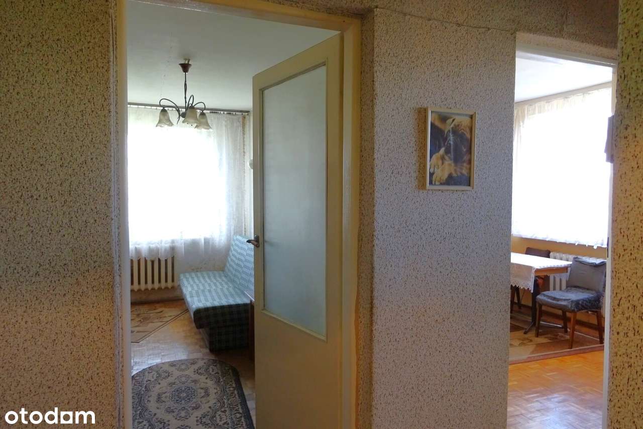 37m2 - os. Kopernika !  Niski czynsz ! - Pełny obrazek: 3/11