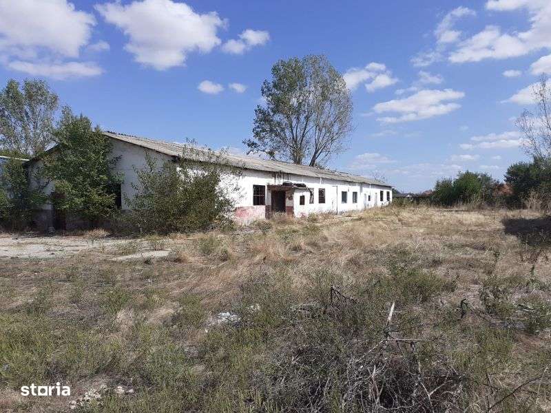 Vand teren cu cladiri in comuna Suseni - Imagine principală: 4/8