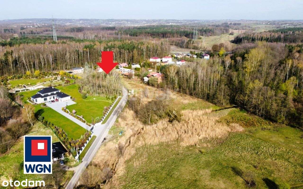 Piękna działka / Pogoria IV / Ratanice - Pełny obrazek: 3/8