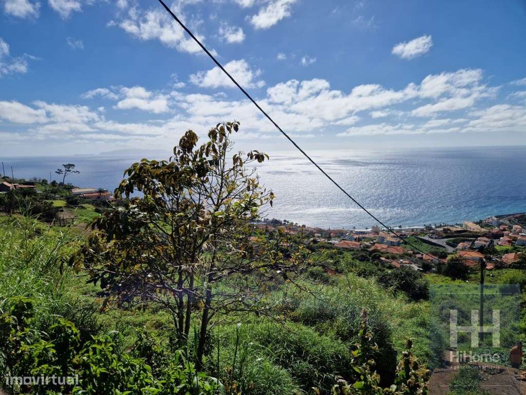 Prédio rústico com 2.101m2 nas Levadas em Santa Cruz - Grande imagem: 5/8