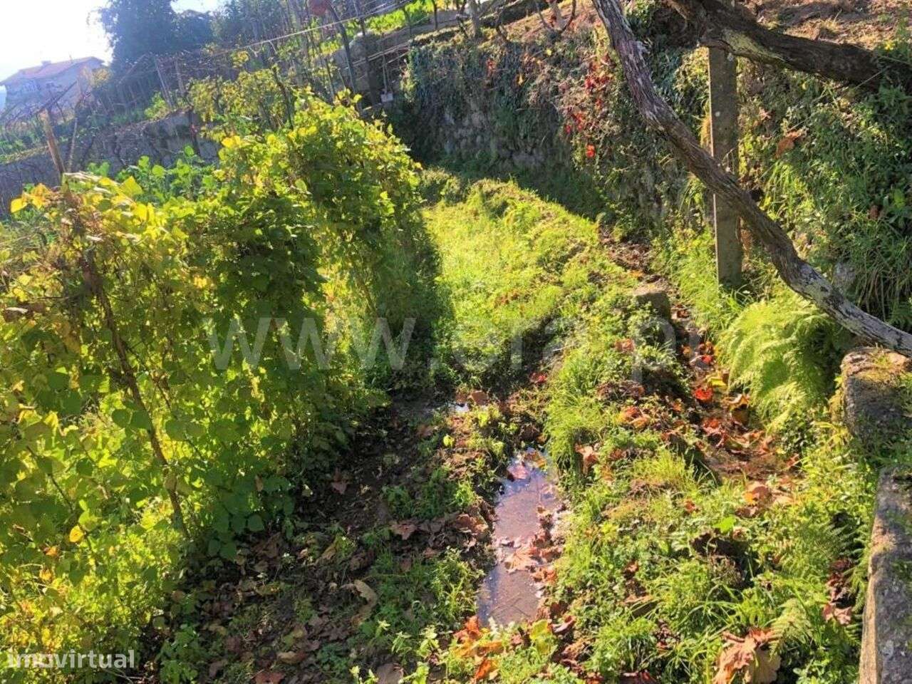 Terreno para Construção / Marco de Canaveses, Marco - Grande imagem: 3/9