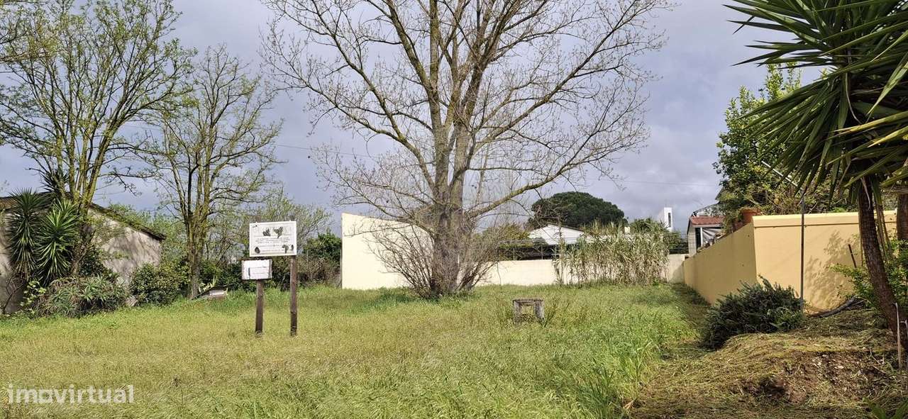 Terreno  para venda - Grande imagem: 3/4