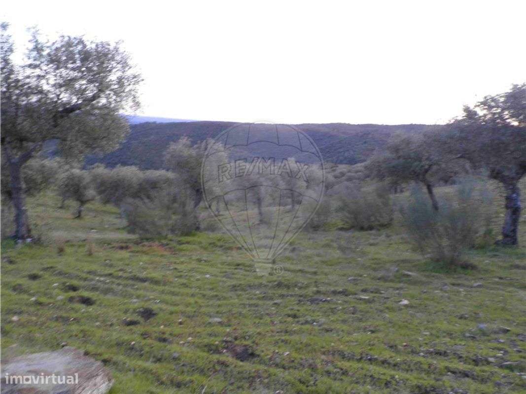 Quinta T0 para venda - Grande imagem: 5/20