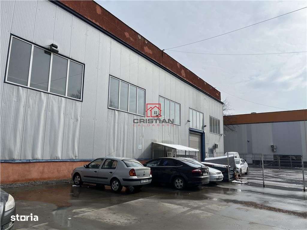 Vanzare haladepozitspatiu industrial Basarabia - Faur-8