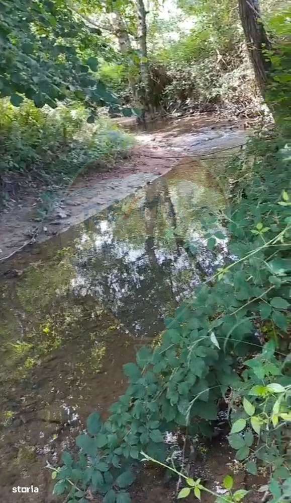 Casă langa parau-sat Brusturi, com. Halmagiu-7