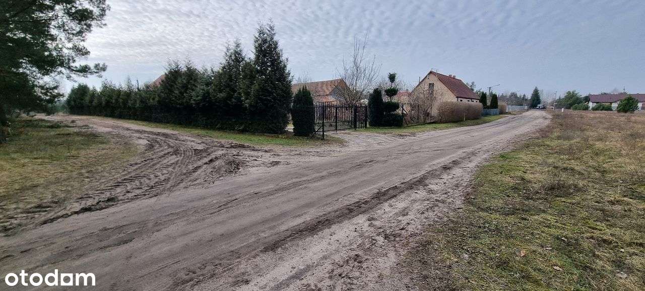 17 działek Rynarzewo ul. Wybudowanie las, spokój, cisza-10