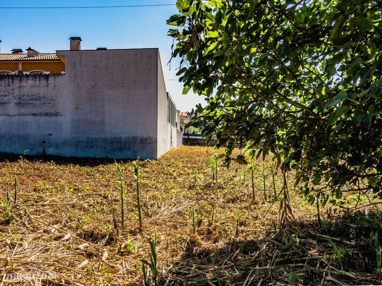Terreno para construção de moradia isolada, Oiã, Oliveira do Bairro - Grande imagem: 3/11